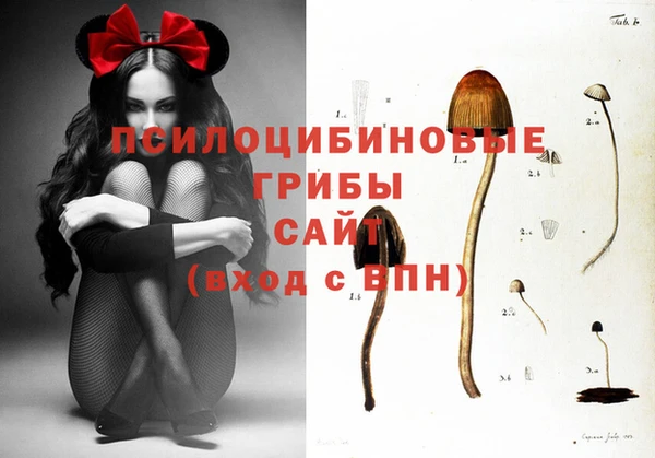 МДПВ Алексин