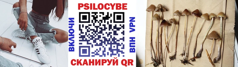 mega вход  Анапа  Псилоцибиновые грибы Psilocybe  где найти  