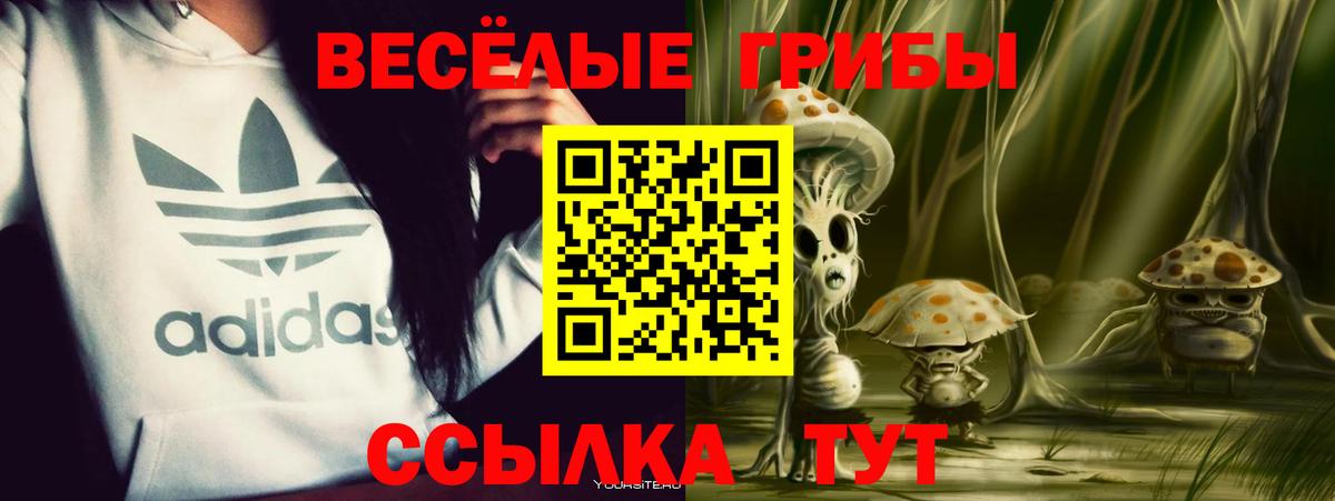 Галлюциногенные грибы GOLDEN TEACHER  Галлюциногенные грибы GOLDEN TEACHER  Вход с VPN  Анапа 